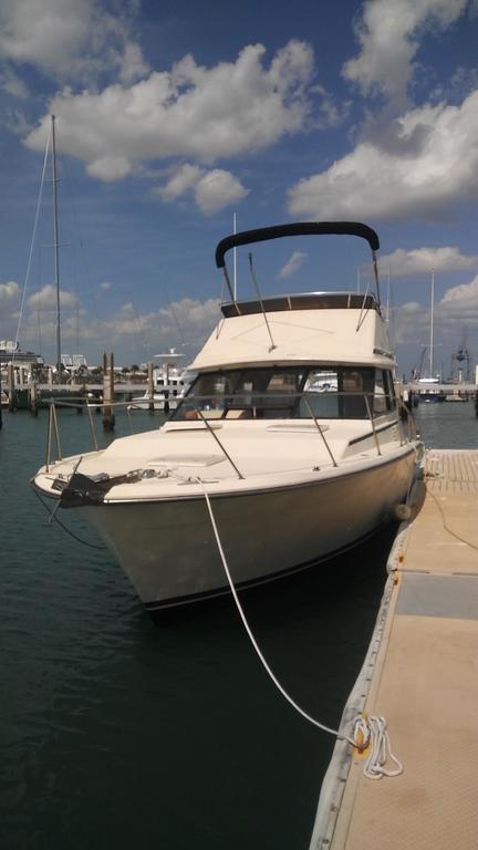 1 Beige Cozy Or 1 White Cozy Efficiency In Titusville